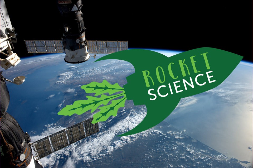 Grow school. Rocket Science it School.